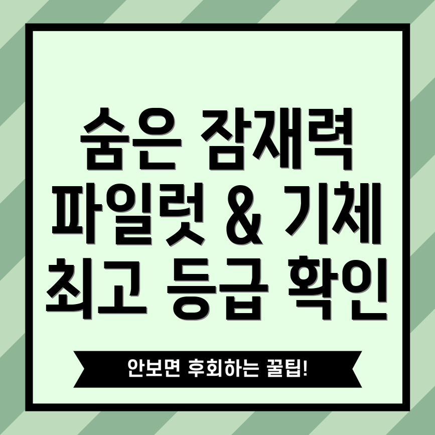 메카아라시