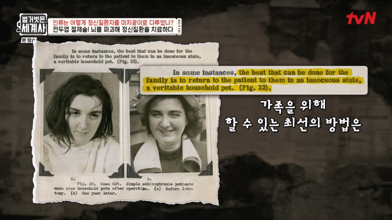 벌거벗은 세계사.E122.231025p-NEXT.mp4_20240525_170412.945.jpg