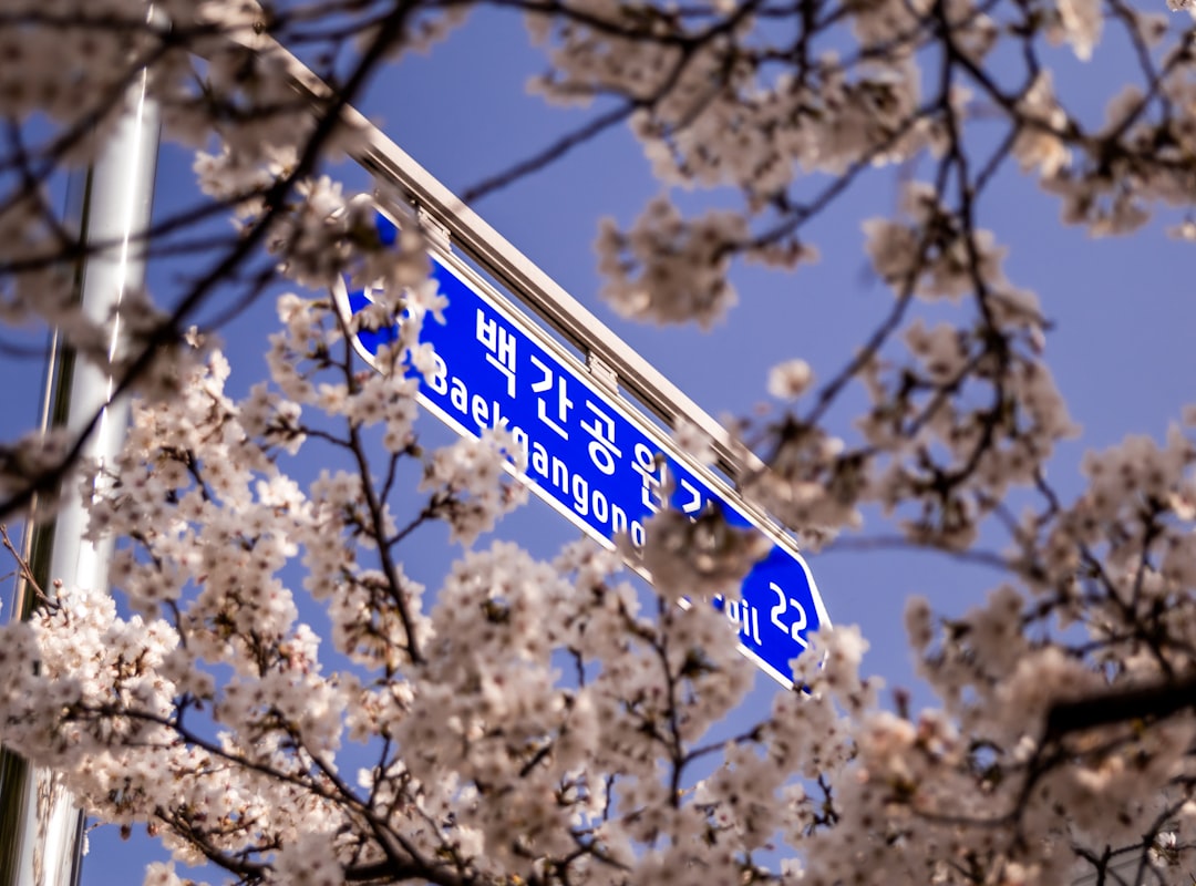 Wonju