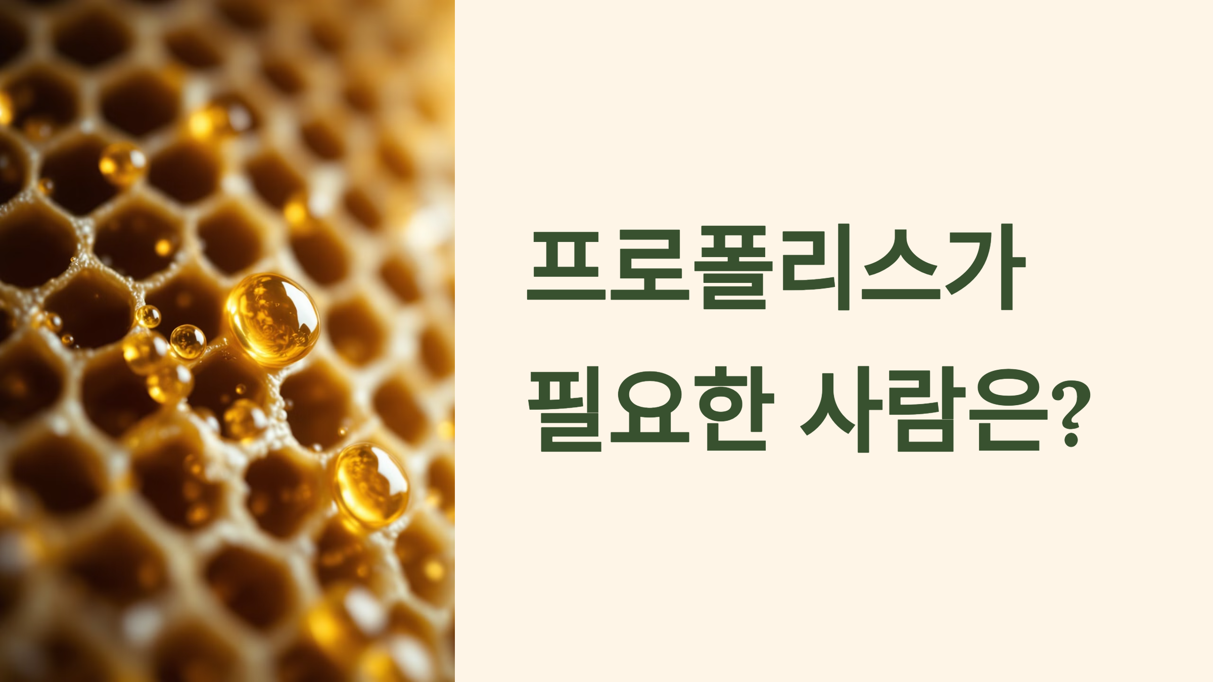 프로폴리스가 필요한 사람은? PPT 이미지