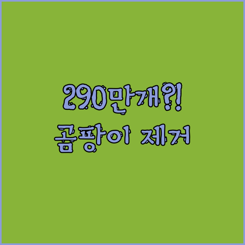 충격! 290만개 팔린 곰팡이 제거제