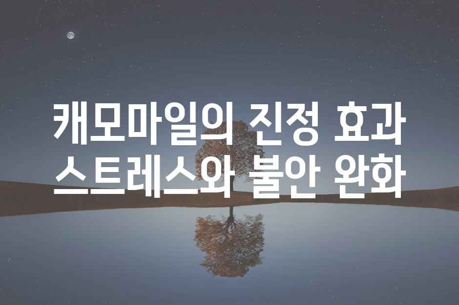 캐모마일의 진정 효과 스트레스와 불안 완화