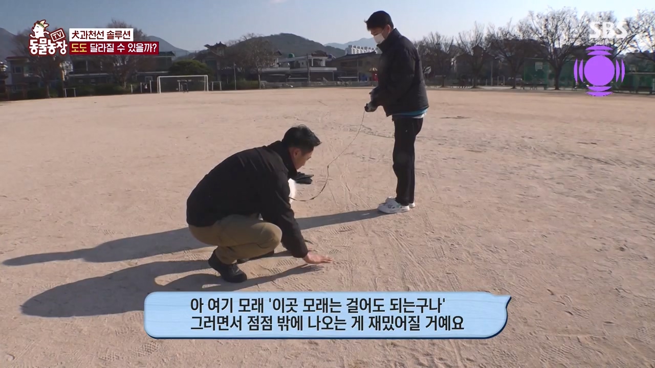 TV 동물농장.E1155.240122p-NEXT.mp4_20240121_145943.933.jpg