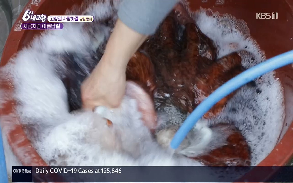6시 내고향.E7512.220416p.H264-F1RST.mp4_20220502_192150.375.jpg