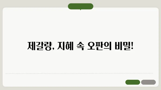 제갈량의 지혜와 오판