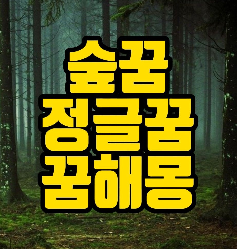  [꿈해몽] 숲꿈, 숲속을걷는꿈, 숲속을헤메는꿈, 숲에불나는꿈, 숲속관련 꿈풀이 25선