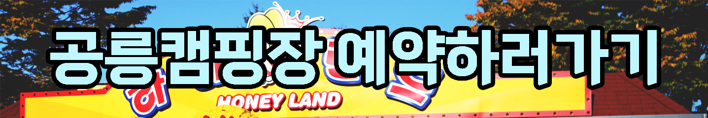캠핑장 추천