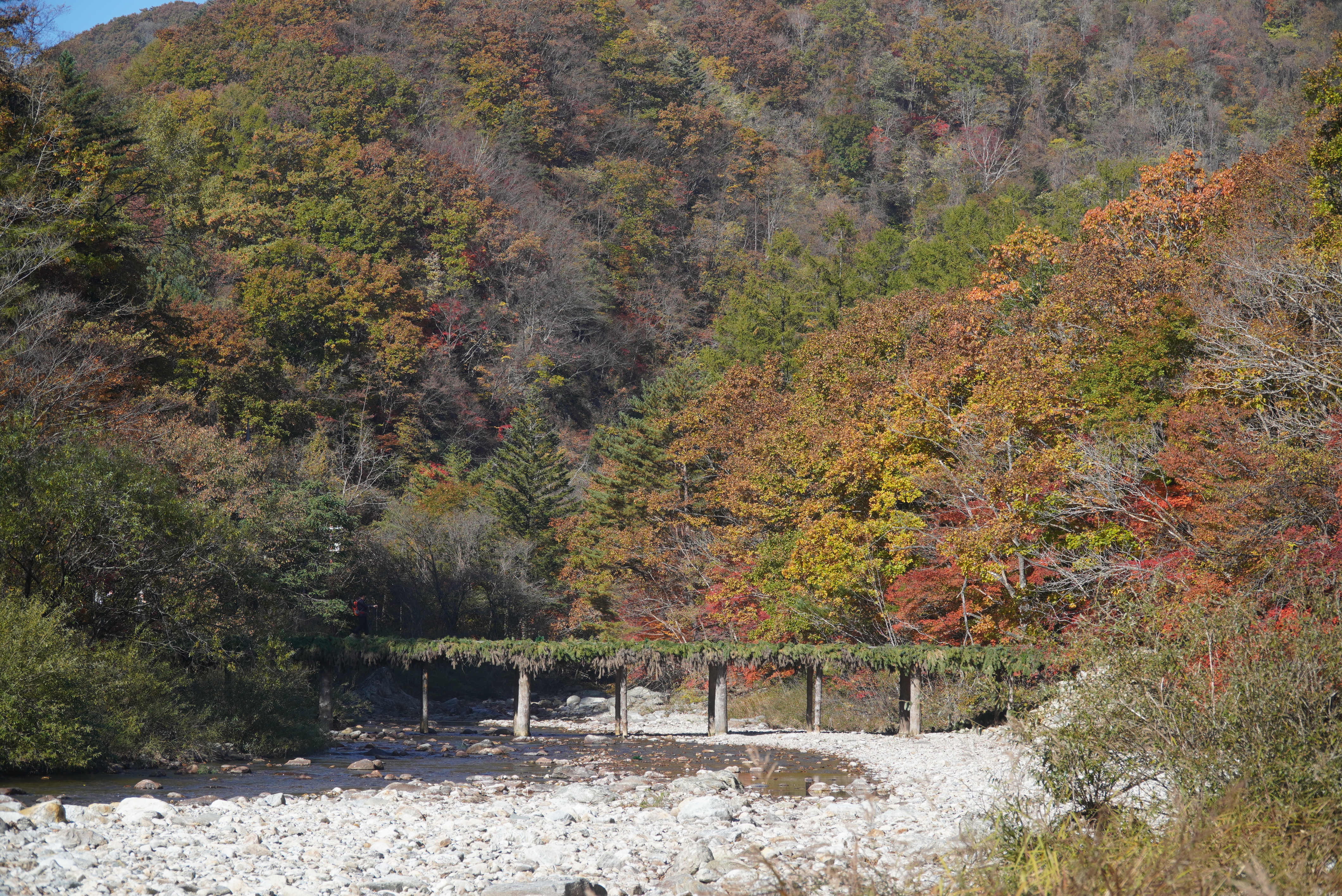 오대산 선재길 단풍, 등산코스, 월정사 상원사 버스, 주차