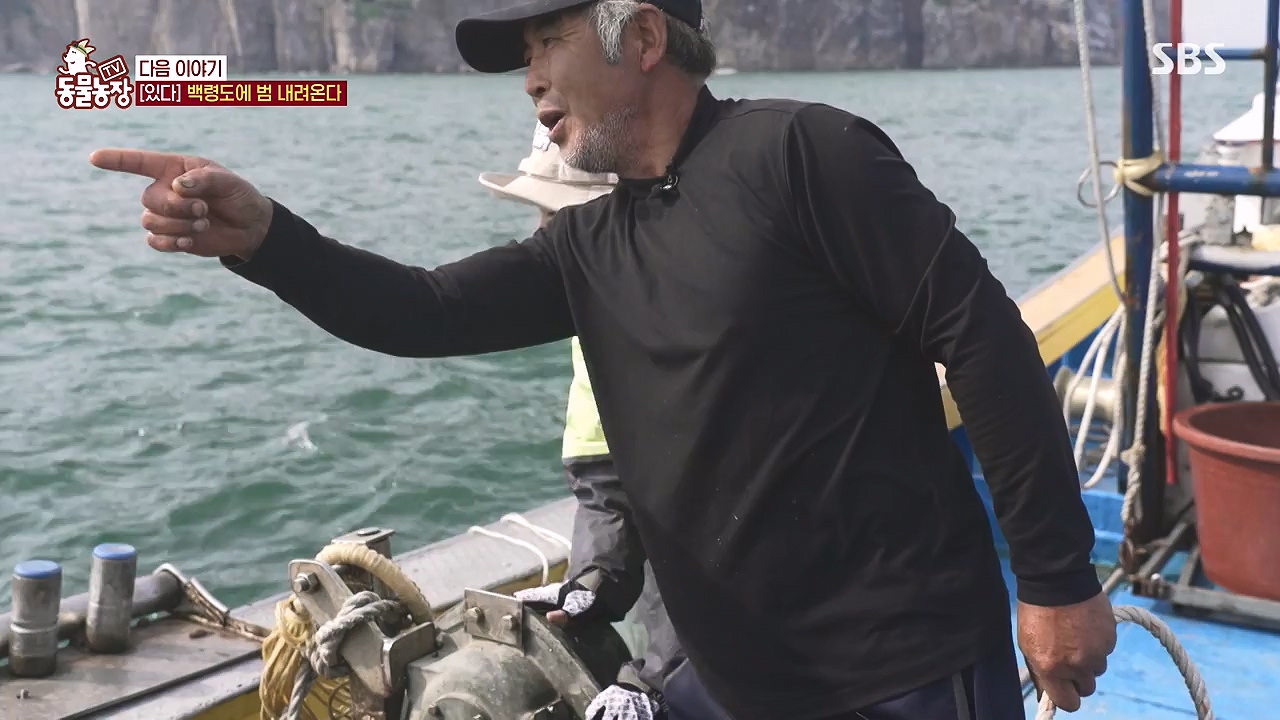 TV 동물농장.E1181.240722p-NEXT.mp4_20240721_165608.258.jpg
