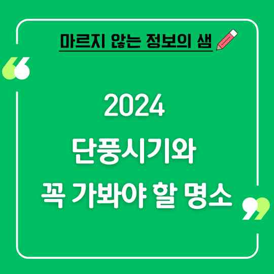 2024 단풍시기