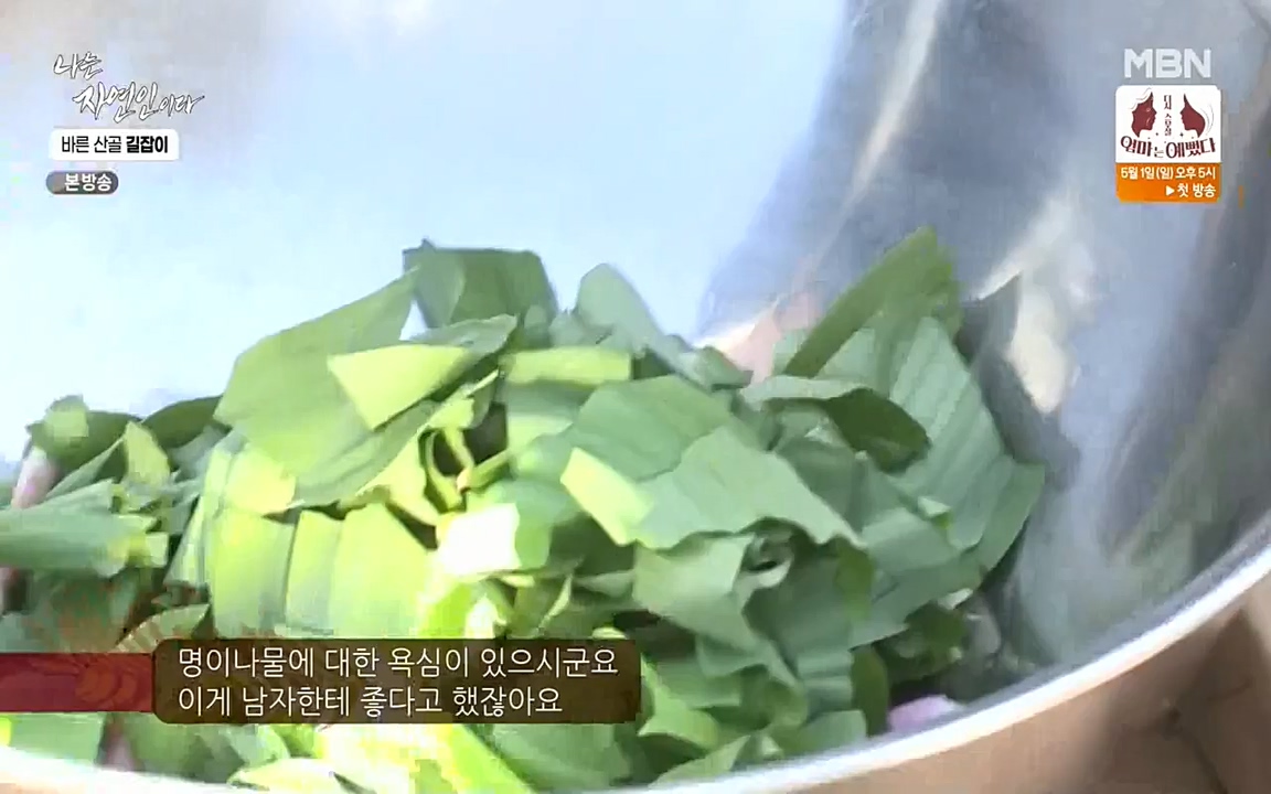 나는 자연인이다.E499.220428p-NEXT.mp4_20220428_175954.484.jpg