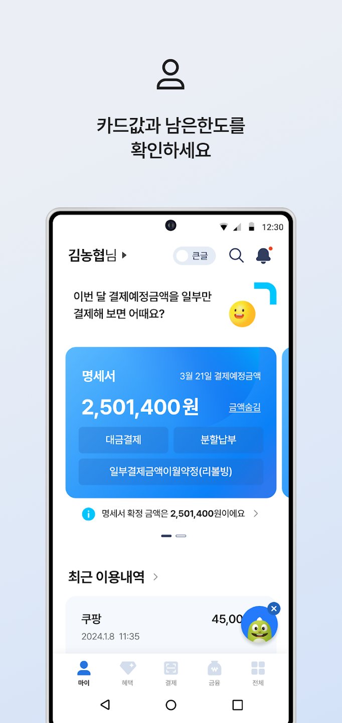 NH페이 이미지