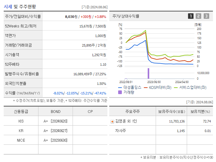 대성홀딩스_기업개요