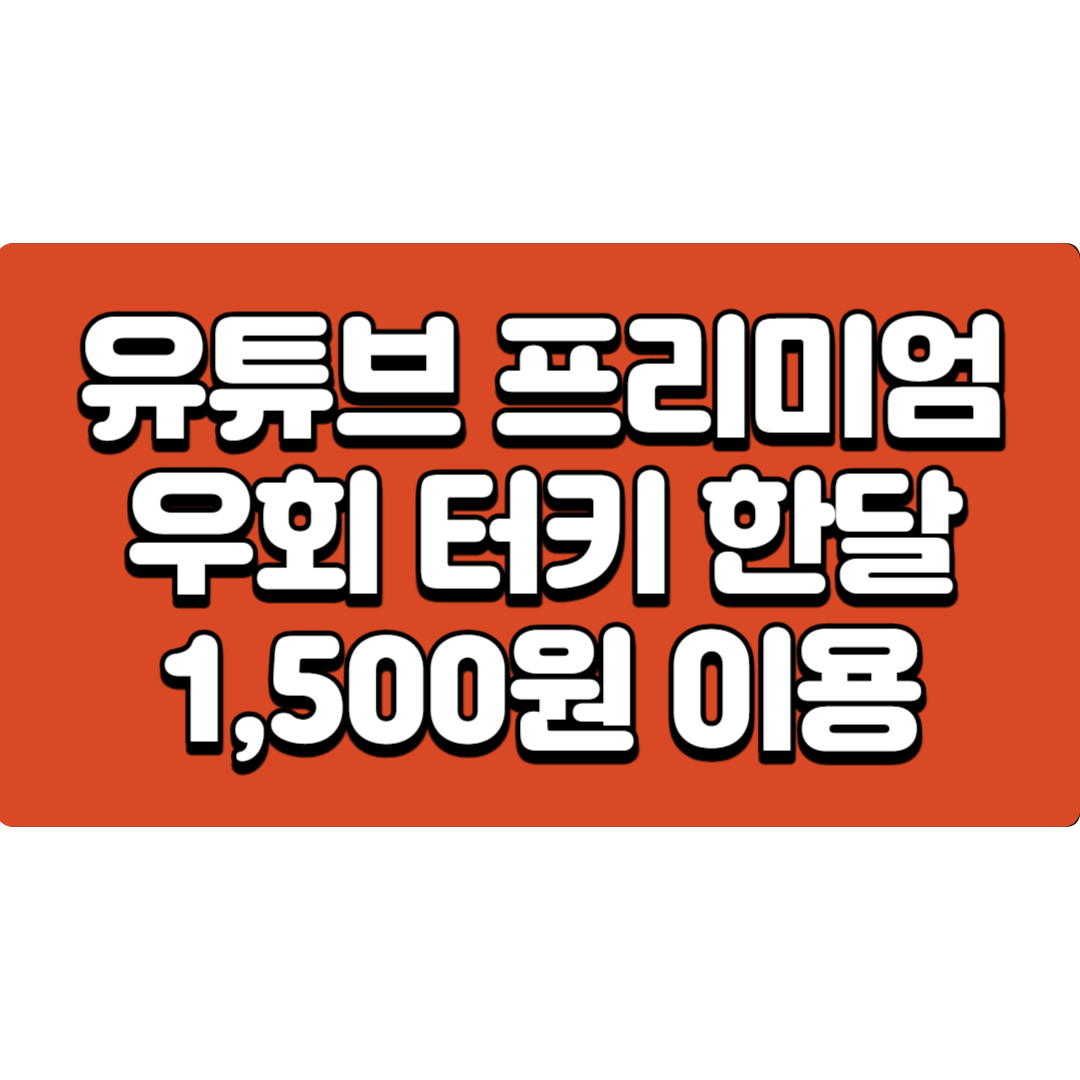  유튜브 프리미엄 우회 터키 한달 1,500원 이용