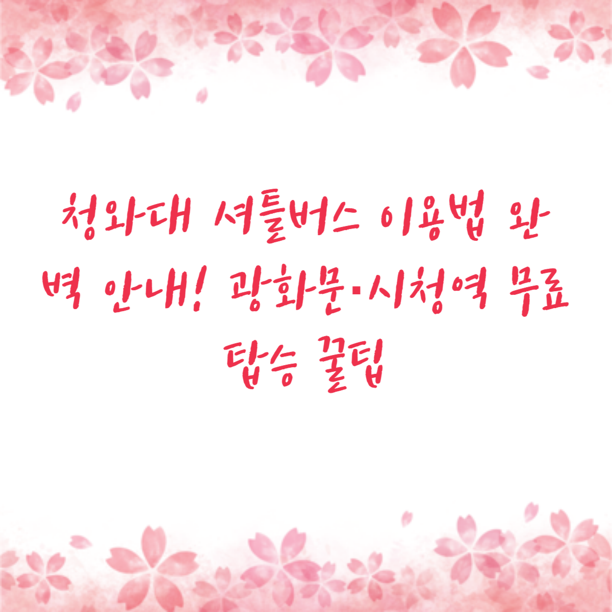 청와대 셔틀버스 이용법 완벽 안내! 광화문·시청역 무료 탑승 꿀팁