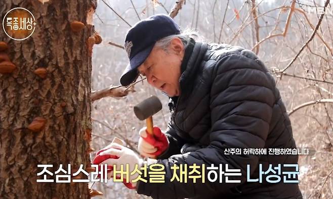 나성균 약초 캐는 이미지