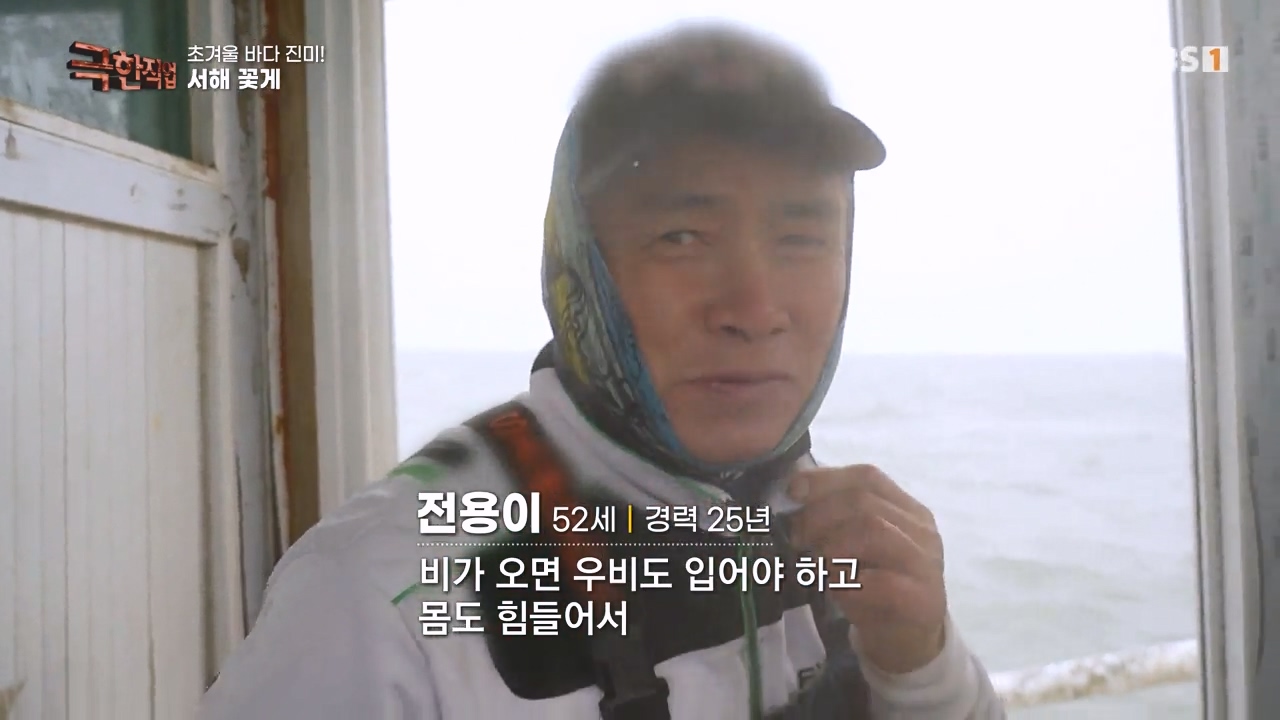 TV - 전 국민의 평생학교 EBS초겨울 바다 진미! 동해 방어, 서해 꽃게.mp4_20231228_204123.605.jpg