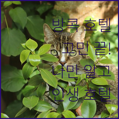 방콕 호텔 고민 끝! 나만 알고 싶은