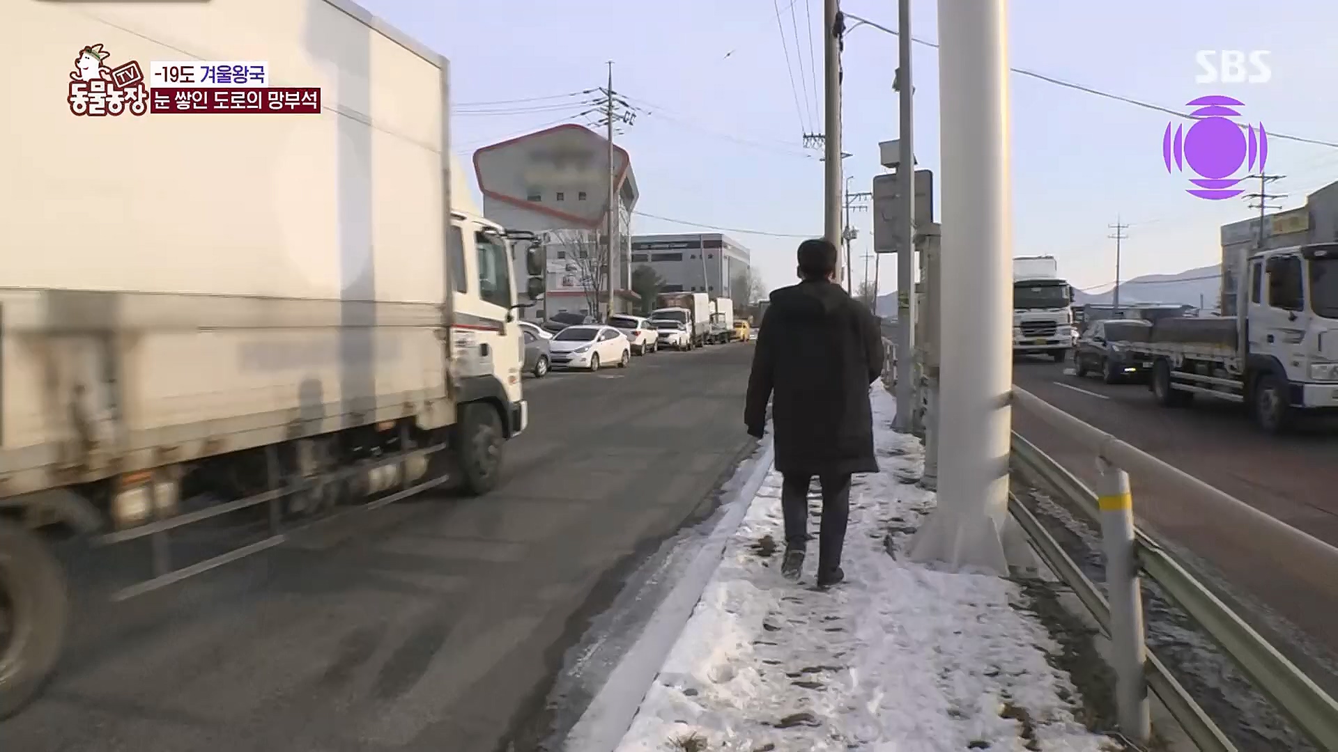 TV 동물농장.E1104.230115p.H264-F1RST.mp4_20230115_173214.169.jpg