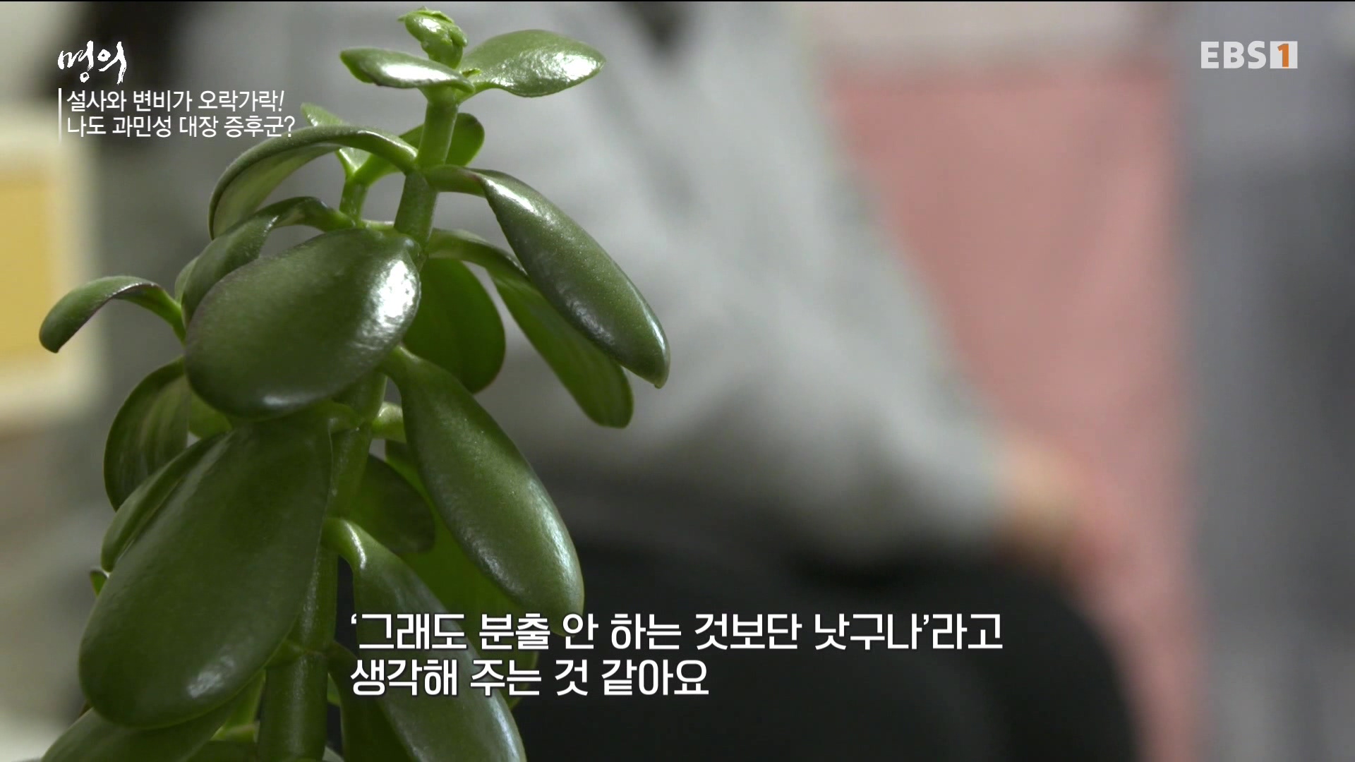 잘 먹고 잘 싸는 법 240323.mp4_20240324_172841.330.jpg