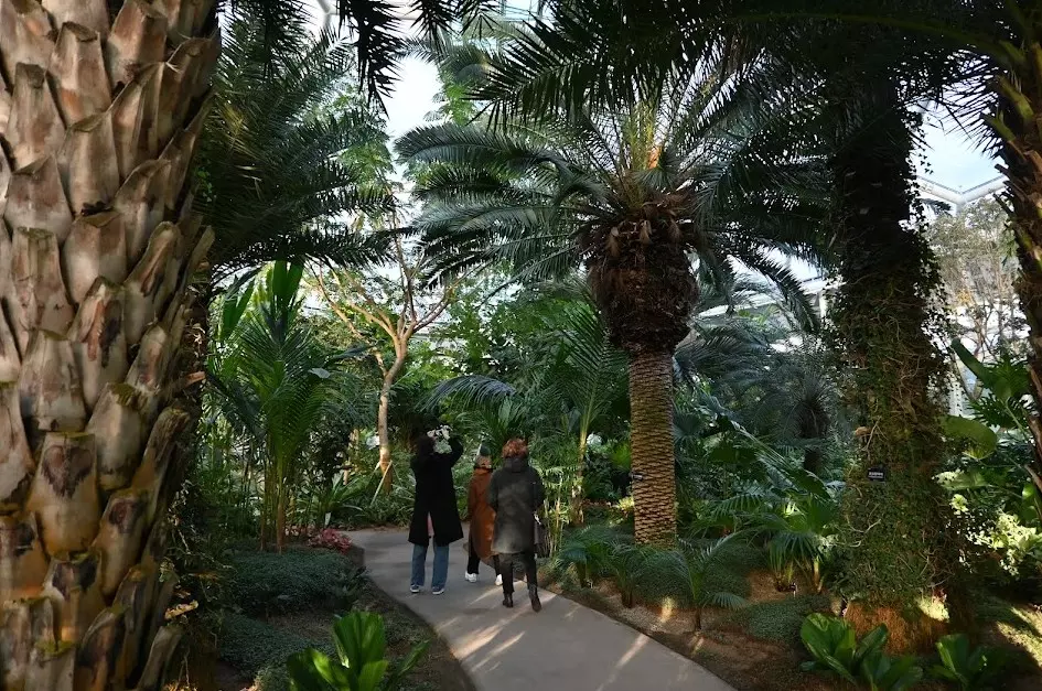 부천 아이들하고 가볼만한 식물원 수피아 사진 6