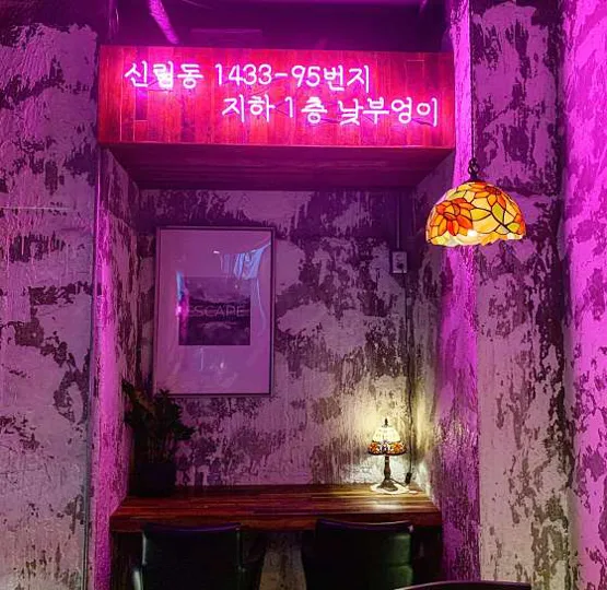 낮부엉이