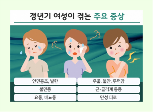 갱년기 중년 여성의 건강 유지하는 방법