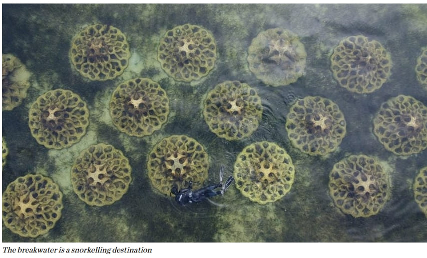 재활용된 굴 껍질로 만든 침식 완화 장치 VIDEO: Reef Design Lab crafts Erosion Mitigation Units from recycled oyster shells