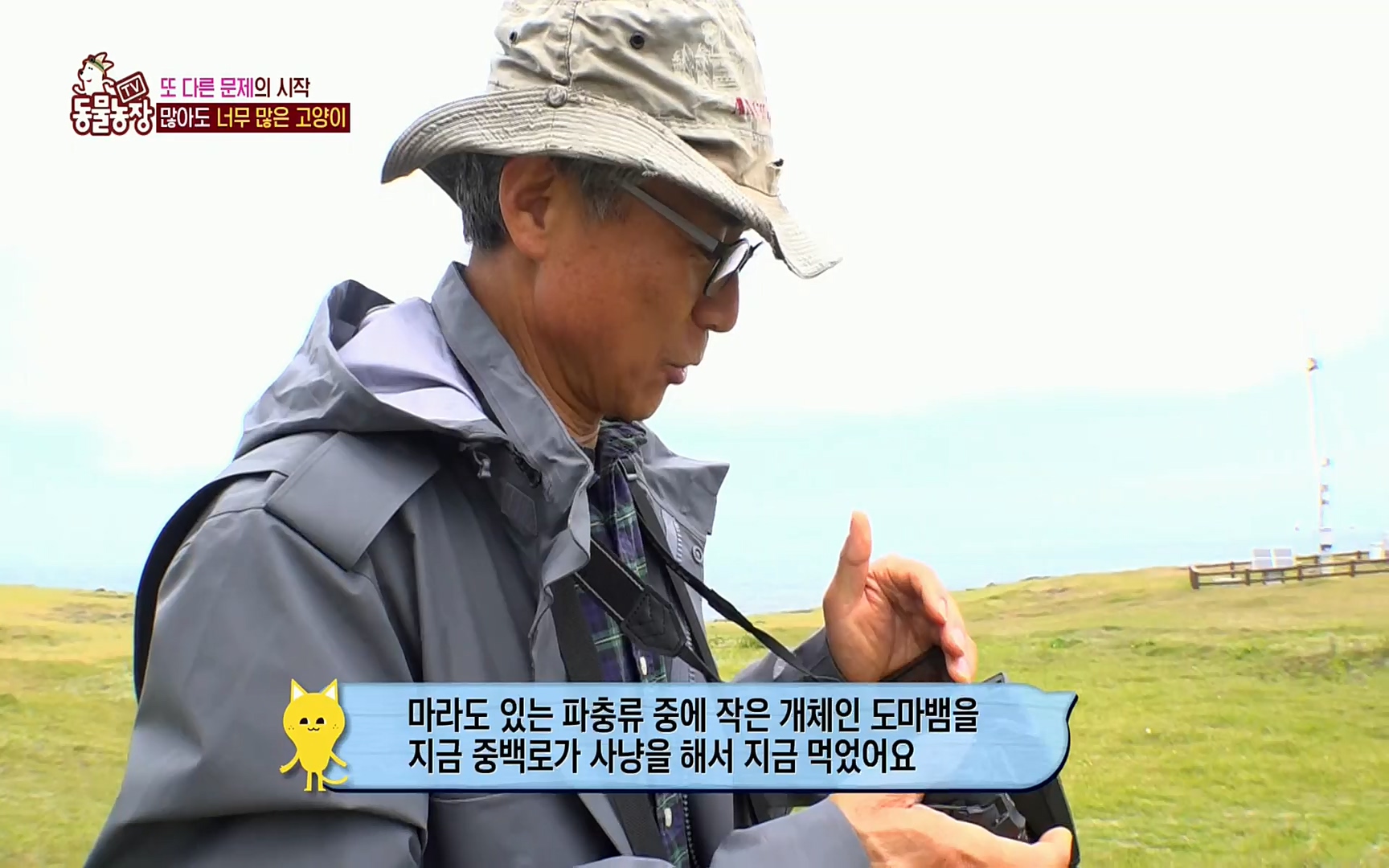 TV 동물농장.E1077.220710p.H264-F1RST.mp4_20220710_175430.679.jpg