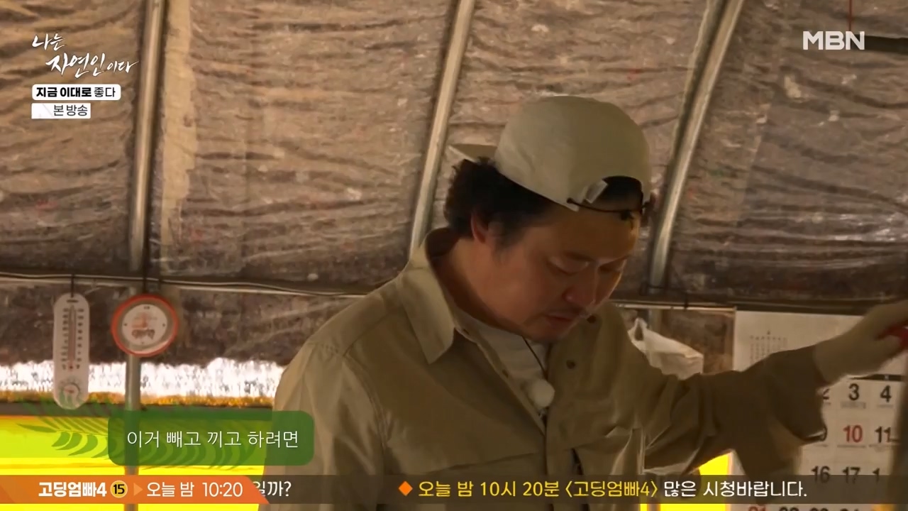 나는 자연인이다.E605.240516p-NEXT.mp4_20240516_194936.425.jpg
