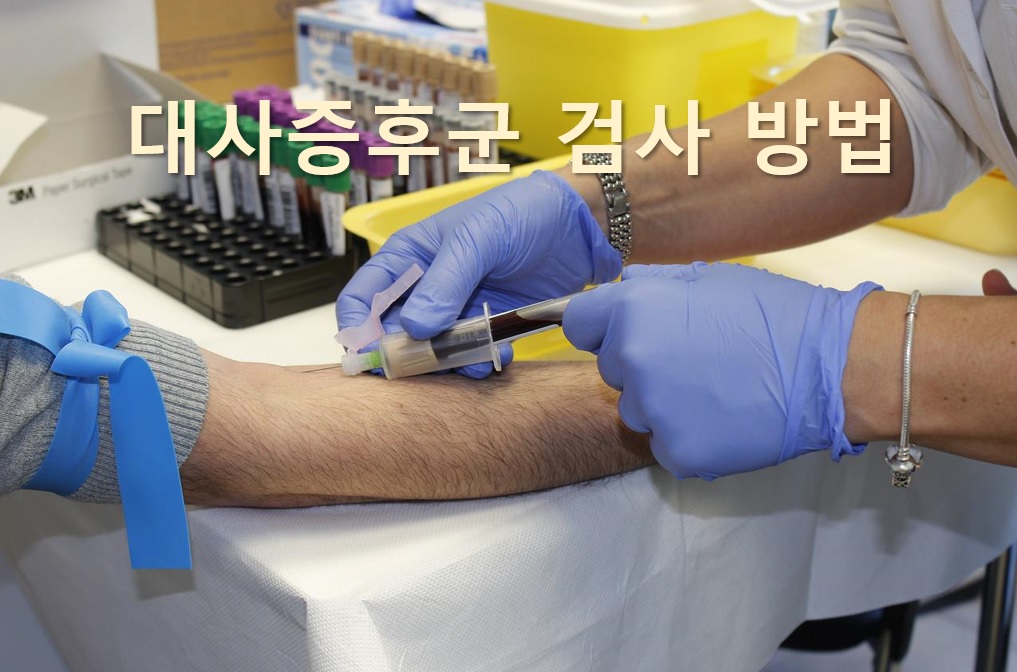  질병 발생 위험을 진단하는 대사증후군 검사 방법