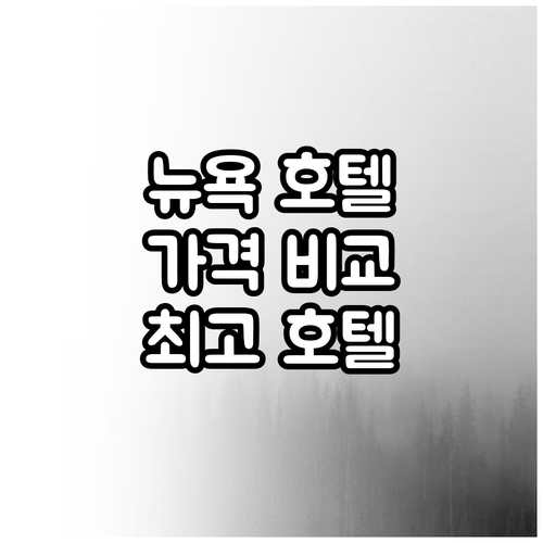 뉴욕 호텔 6곳 가격 비교 완벽 정리