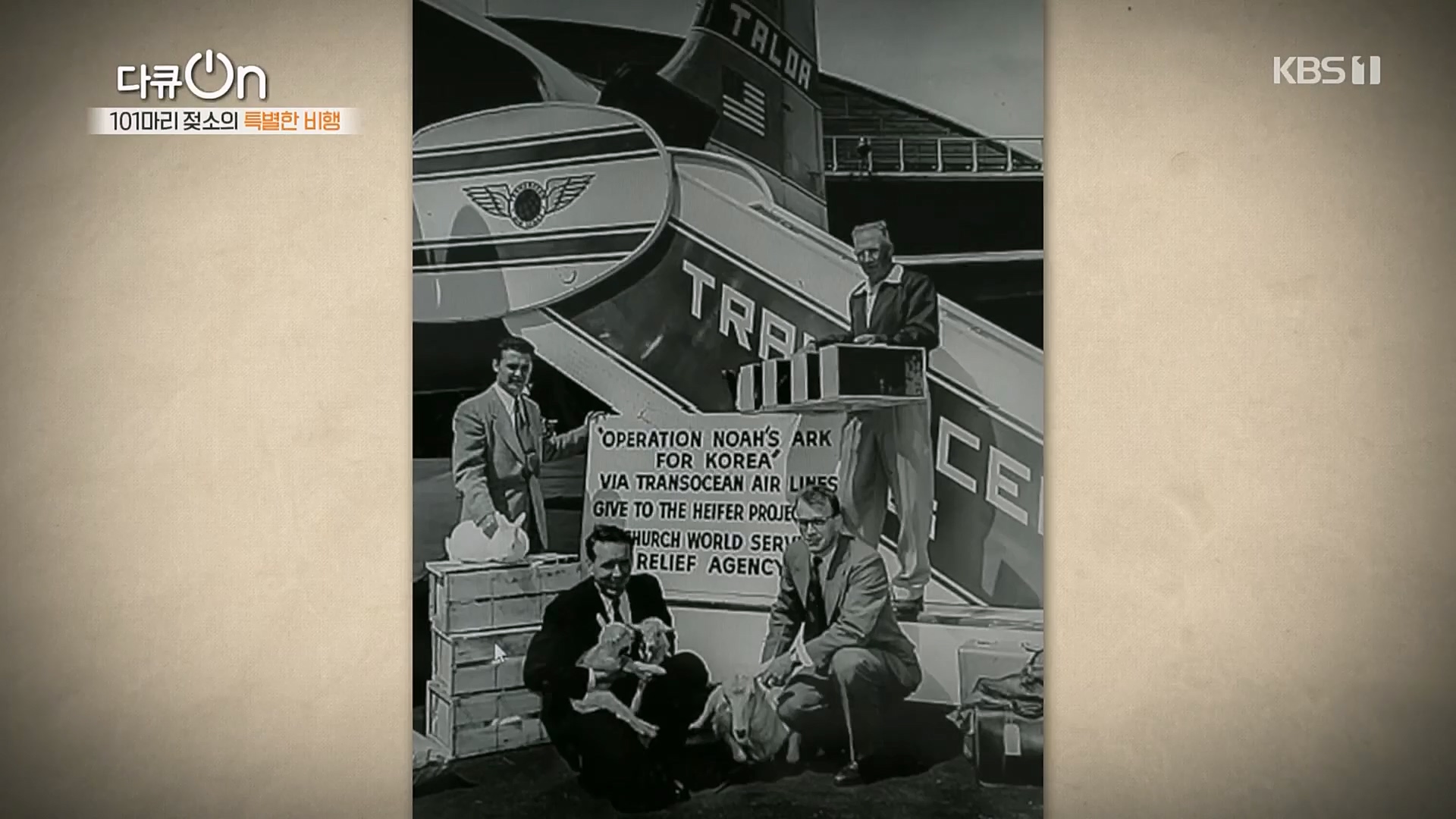 다큐 On.E184.230203p.H264-F1RST.mp4_20230211_175651.403.jpg