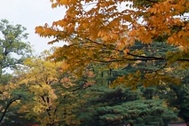경복궁 야간개장 인터넷 예매