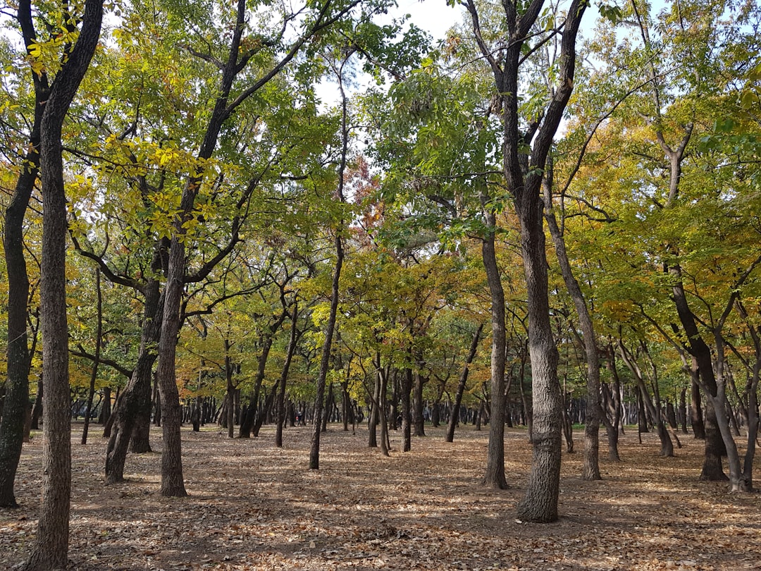 Gyeongju