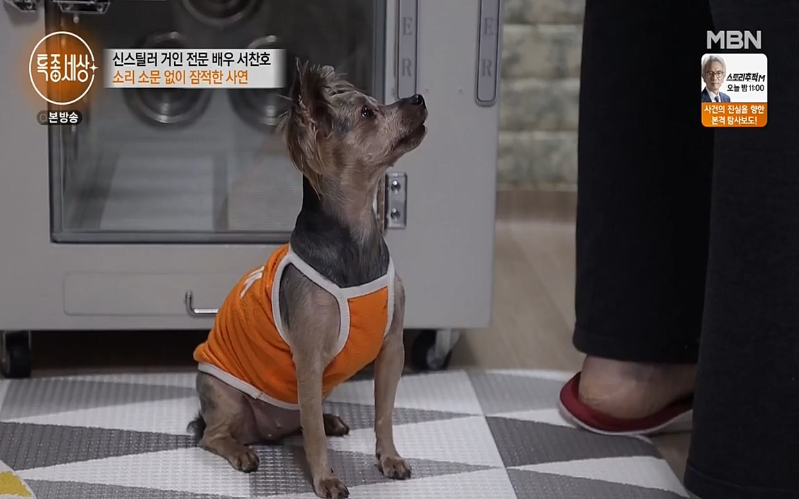 현장르포 특종세상.E526.220415p-NEXT.mp4_20220415_192056.556.jpg