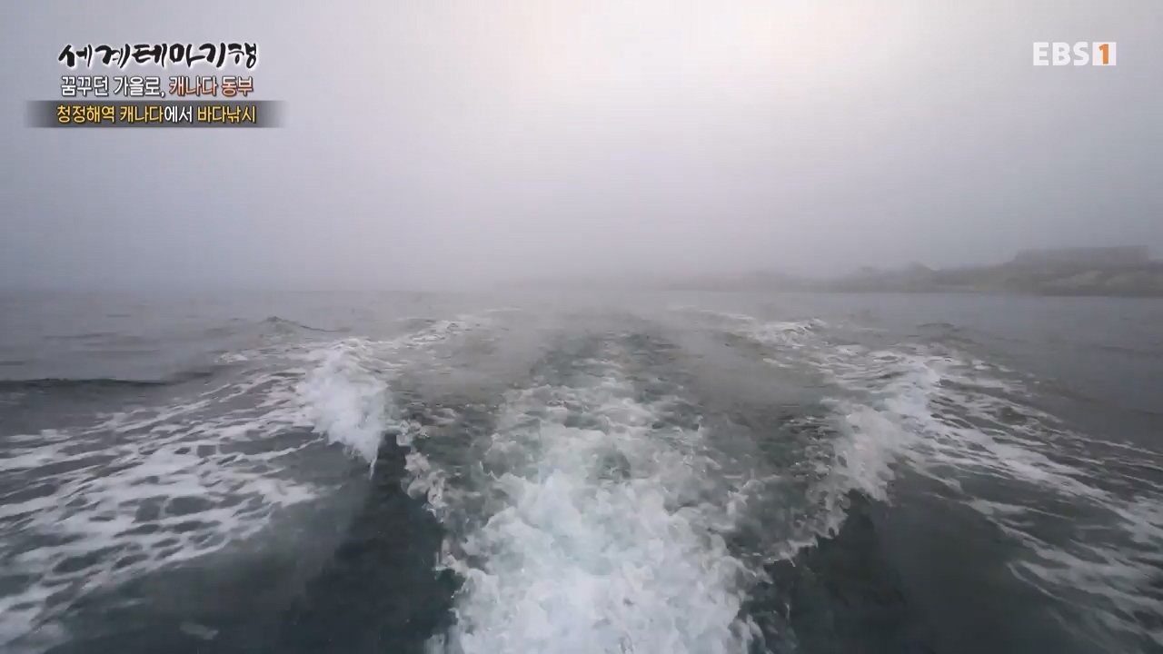 세상의모든기행꿈꾸던 가을로 캐나다 동부-우아, 가을의 맛.mp4_20231205_202921.098.jpg