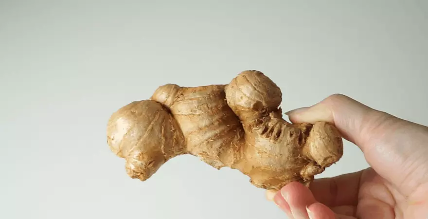  생강(Ginger)의 놀라운 힘: 강력한 항산화와 항염증 능력의 비밀