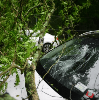 Windshield Damage with Car example picture