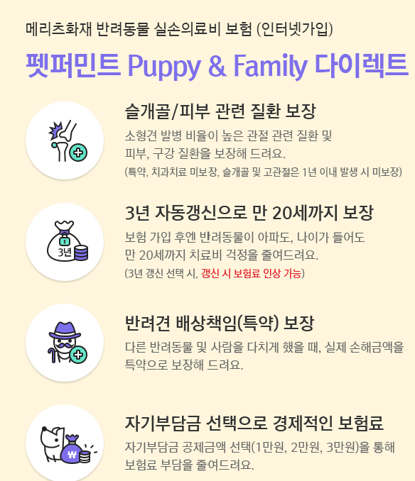 메리츠화재 강아지 보험 특징, 보장내용, 보험료 계산방법 알아보기