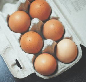 계란-6개가-계란판에-담겨-있는-사진