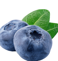 연골에 좋은 음식