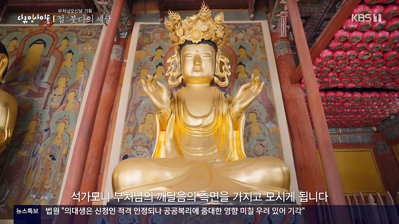 다큐 인사이트.E185.240517p-NEXT.mp4_20240517_202638.650.jpg