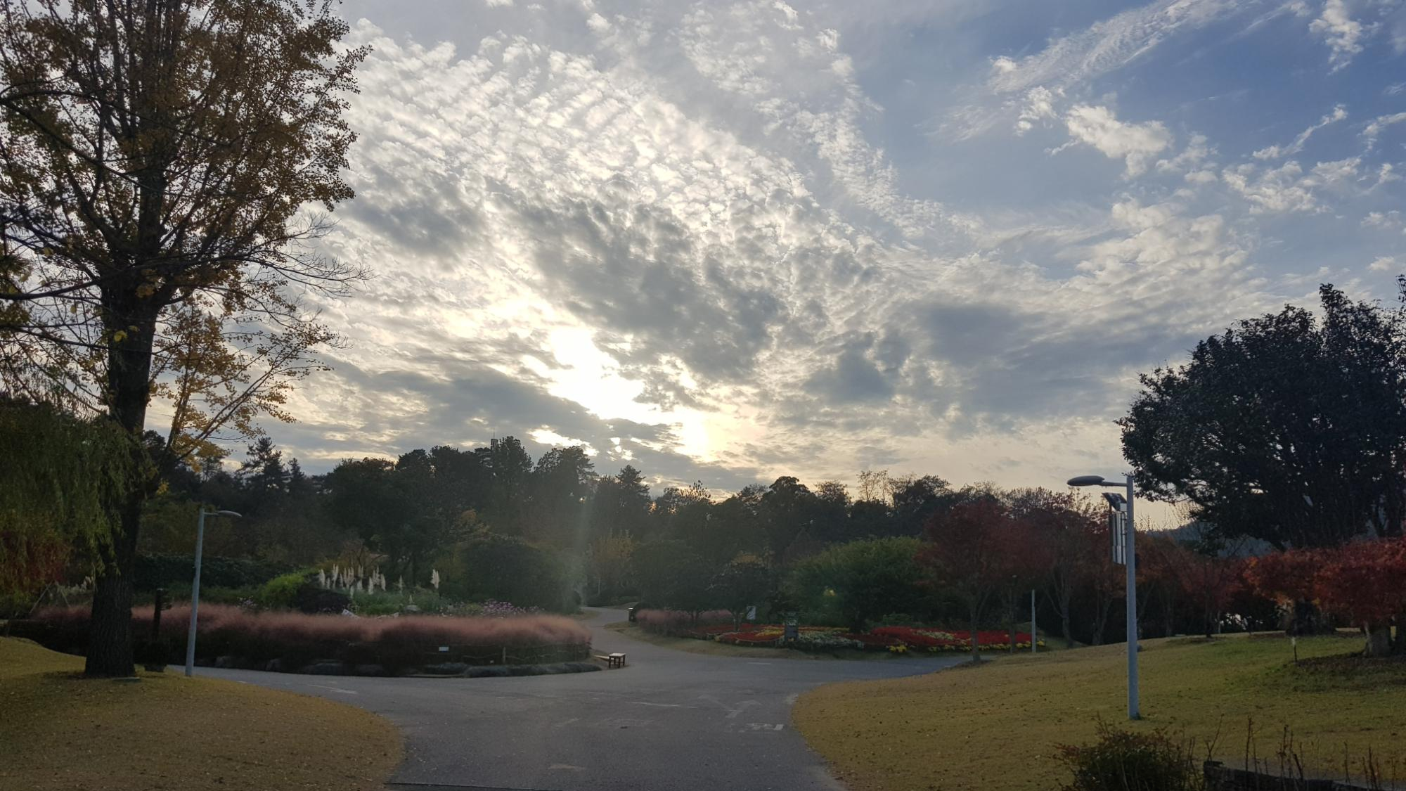  순천여행 순천 국가정원 후기
