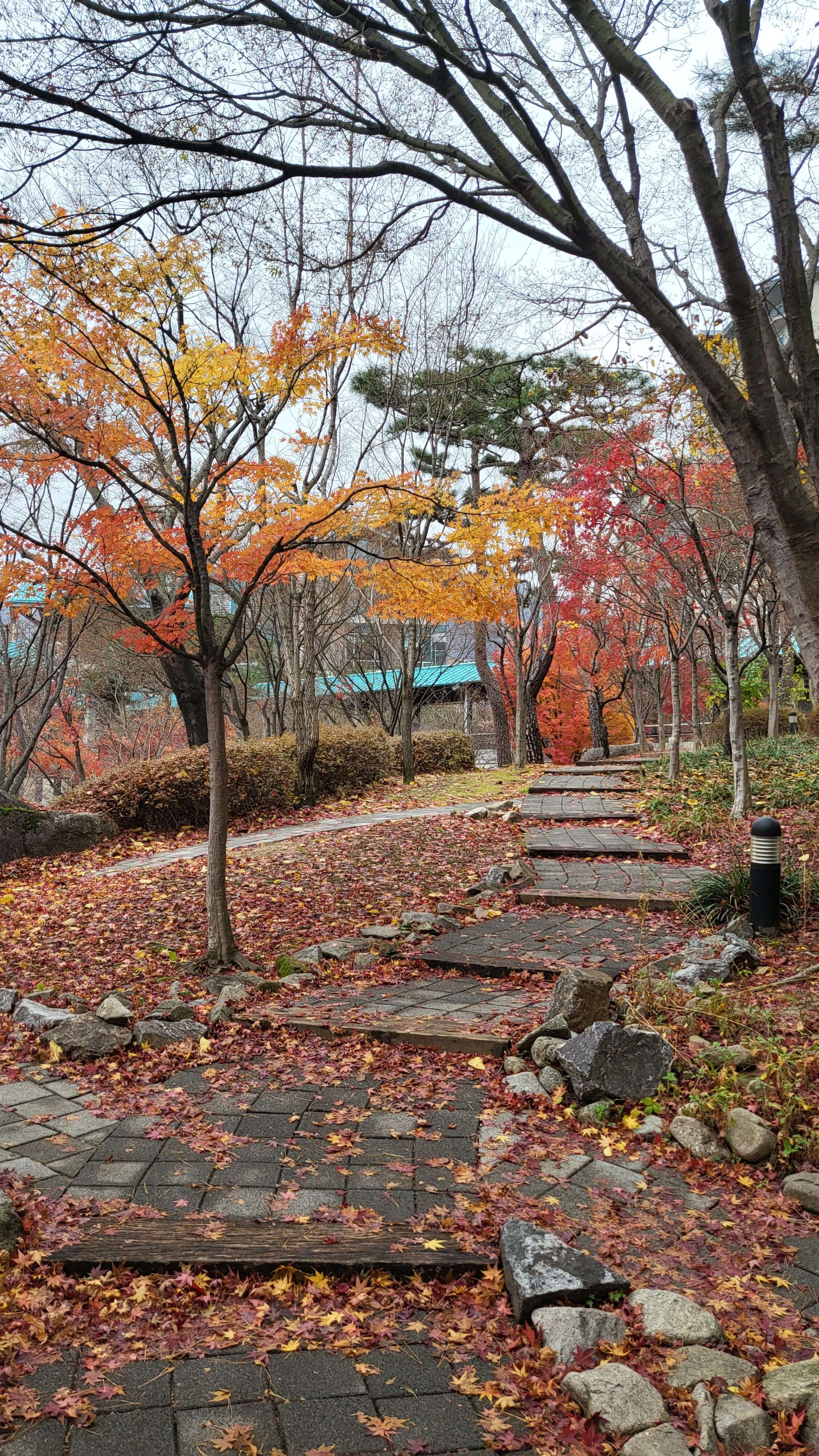 곤지암리조트 산책로 가는 길