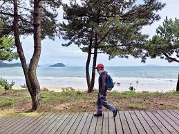 신지대교(신지도) 이미지