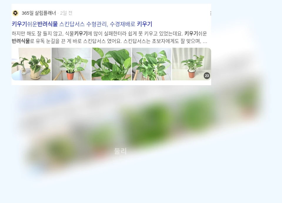 반려식물 키우기_3_subsection