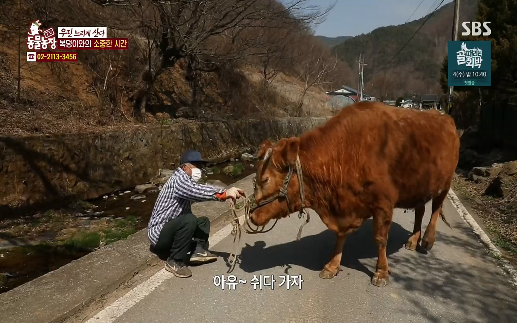 TV 동물농장.E1067.220501p.H264-F1RST.mp4_20220501_185021.978.jpg