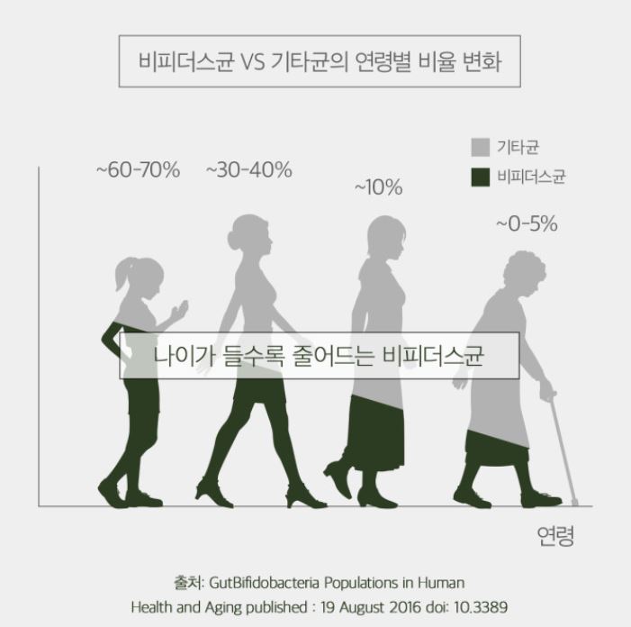 비피더스균-기타균의-연령별-비율-변화