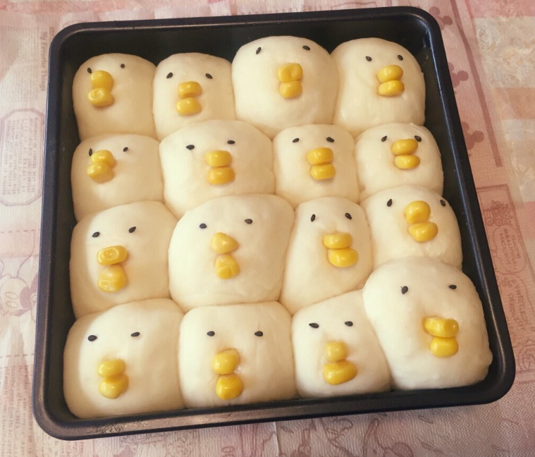  실패한 병아리빵 몇 년 후